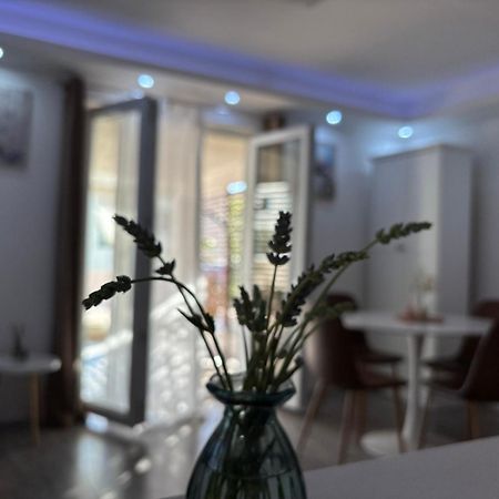 Luxury Apartman Nr شيبينيك المظهر الخارجي الصورة